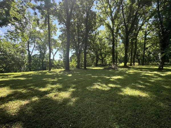 a view of a field with trees