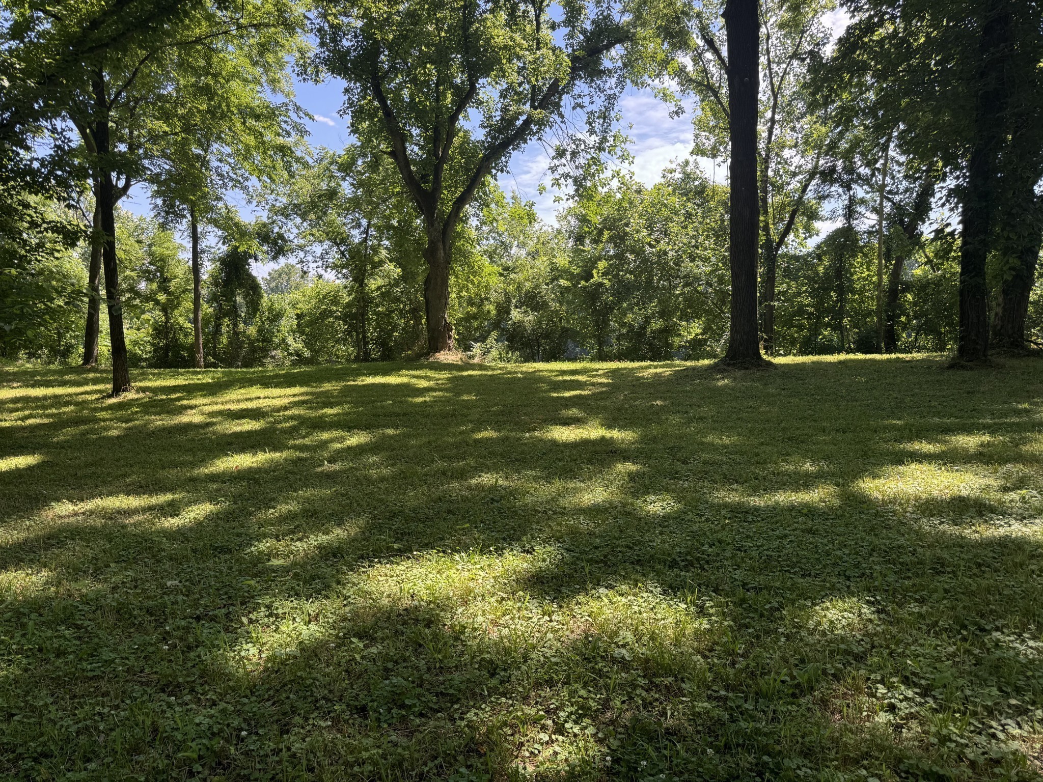 0 Sauger Road Charlotte, TN 37036 - Photo 2 of 9 a view of a trees in a yard