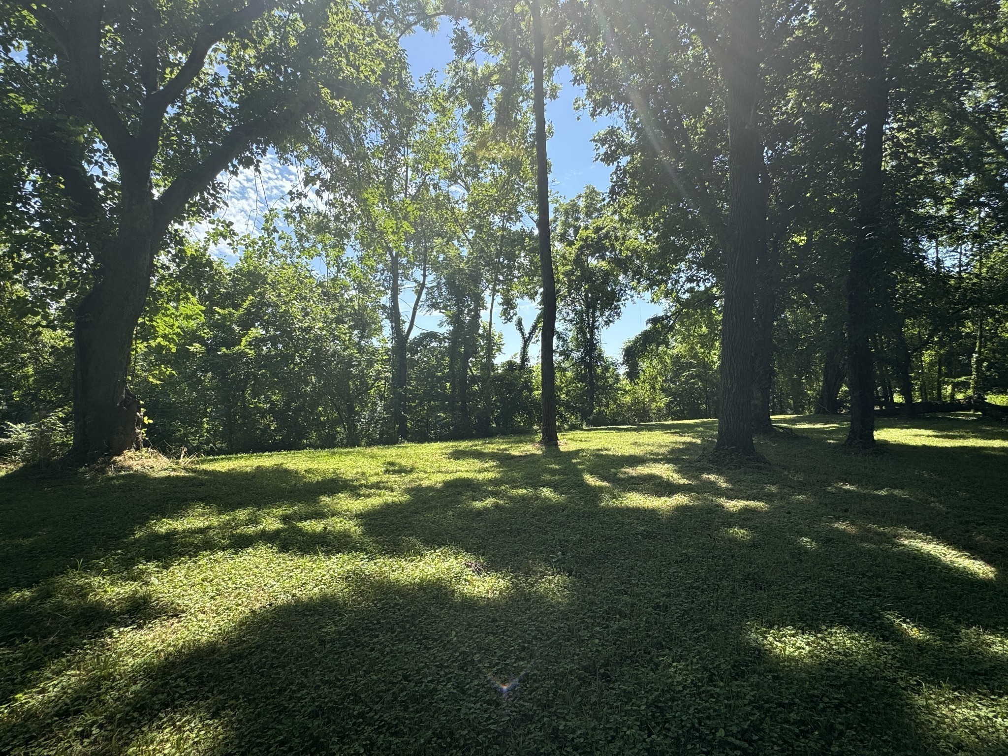 0 Sauger Road Charlotte, TN 37036 - Photo 3 of 9 a view of a trees with a yard