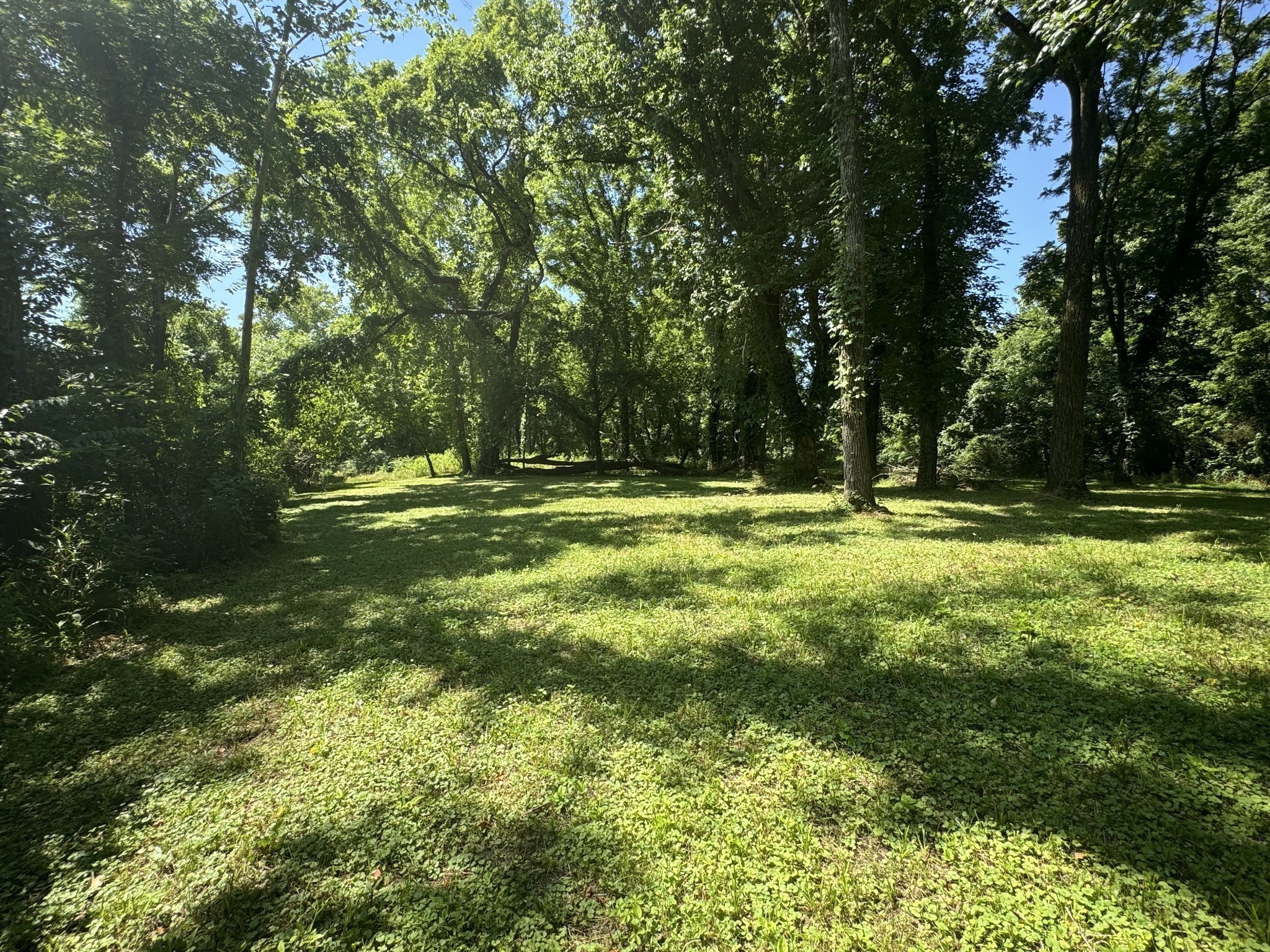 0 Sauger Road Charlotte, TN 37036 - Photo 4 of 9 a view of outdoor space with trees all around