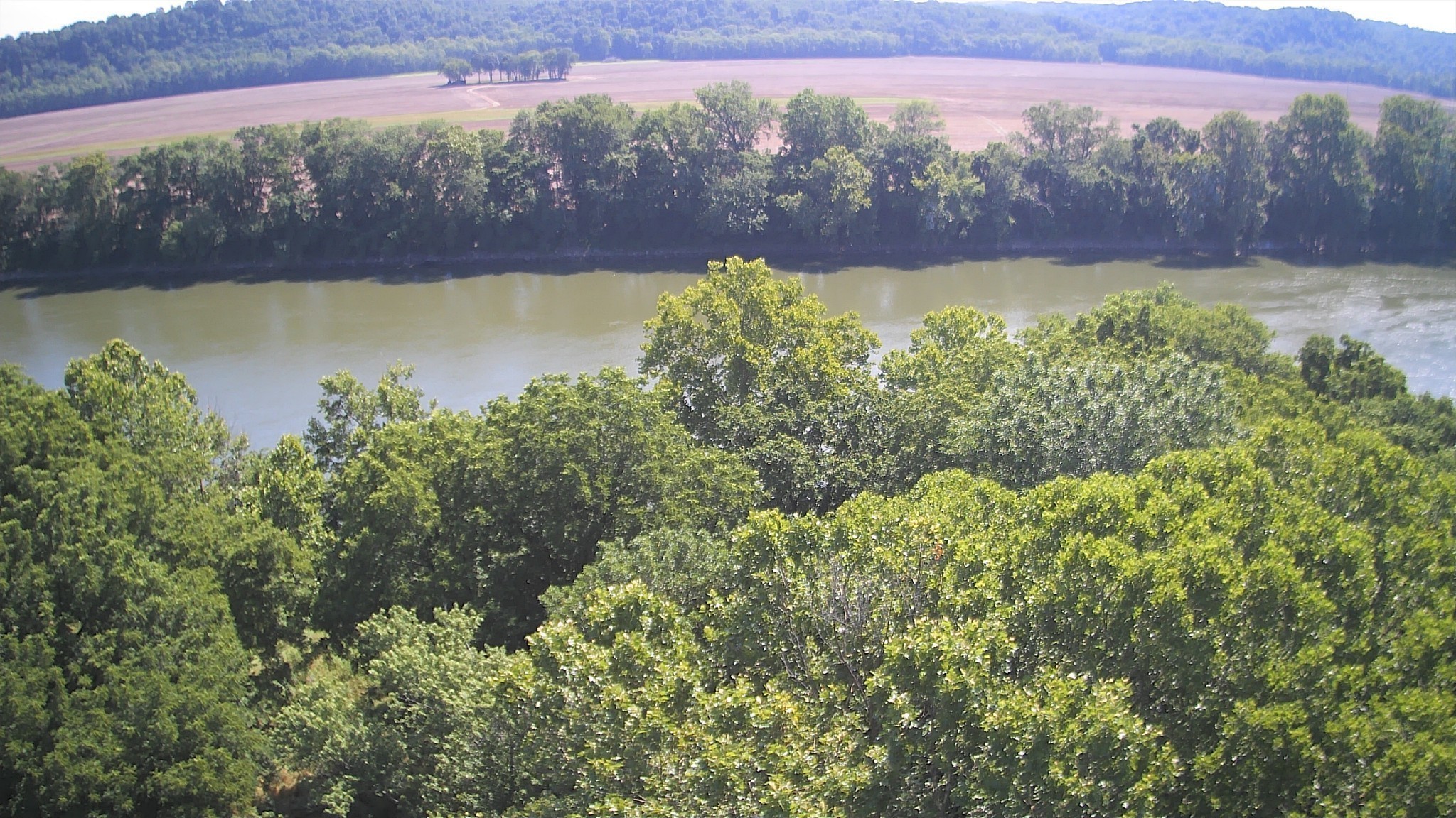 0 Sauger Road Charlotte, TN 37036 - Photo 6 of 9 a view of a yard with a lake view