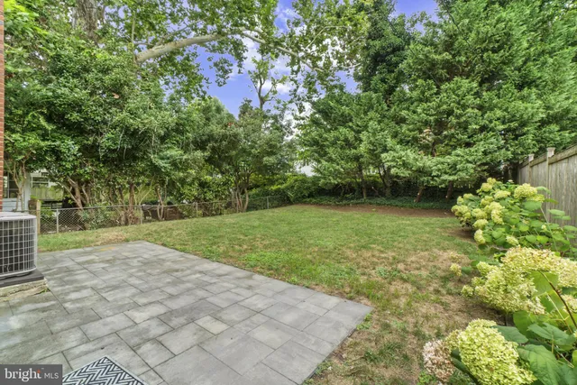 a view of a yard with plants and trees
