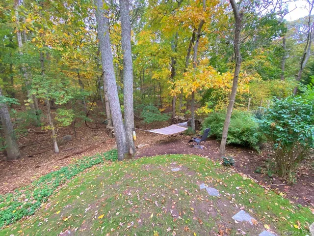 a view of a backyard with trees
