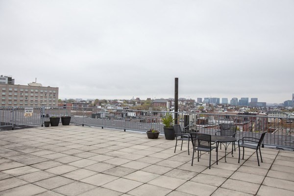 156 Porter Street, Unit 249 Boston, MA 02128 - Photo 21 of 30 a view of roof with potted plants and city view