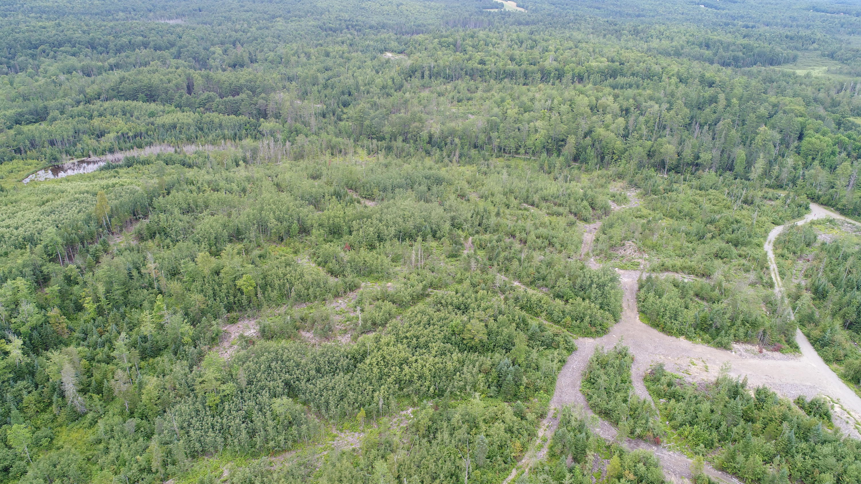 Tbd McCarty Road Solon, ME 04979 - Photo 10 of 17 DJI_0112