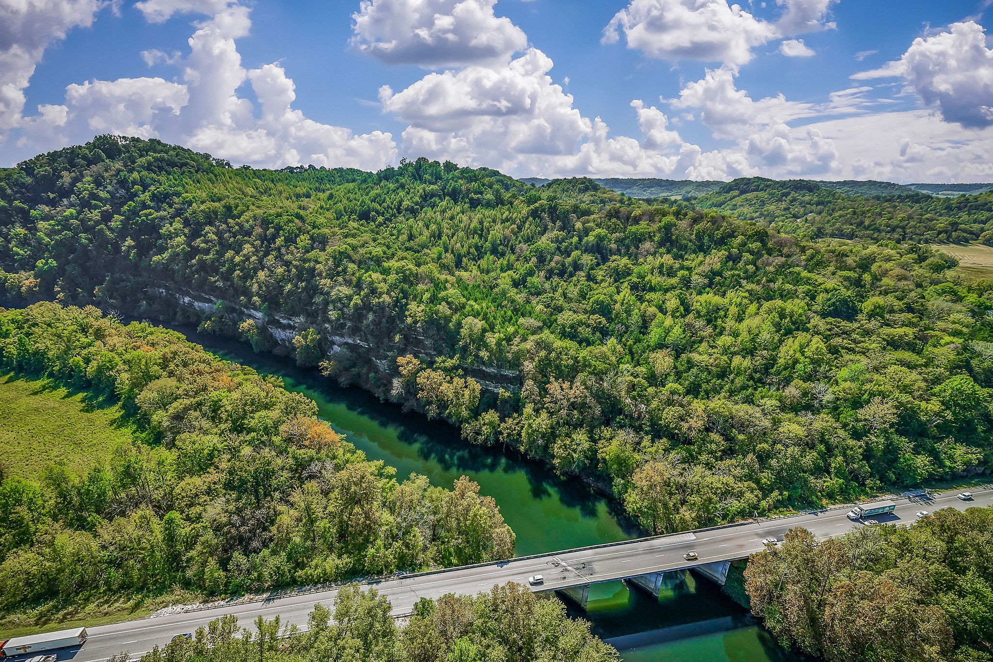a view of a yard with plants and a bench