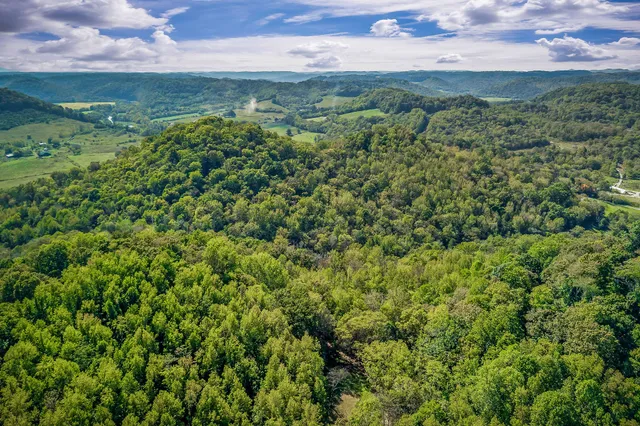 a view of a big yard with lots of green space and a yard