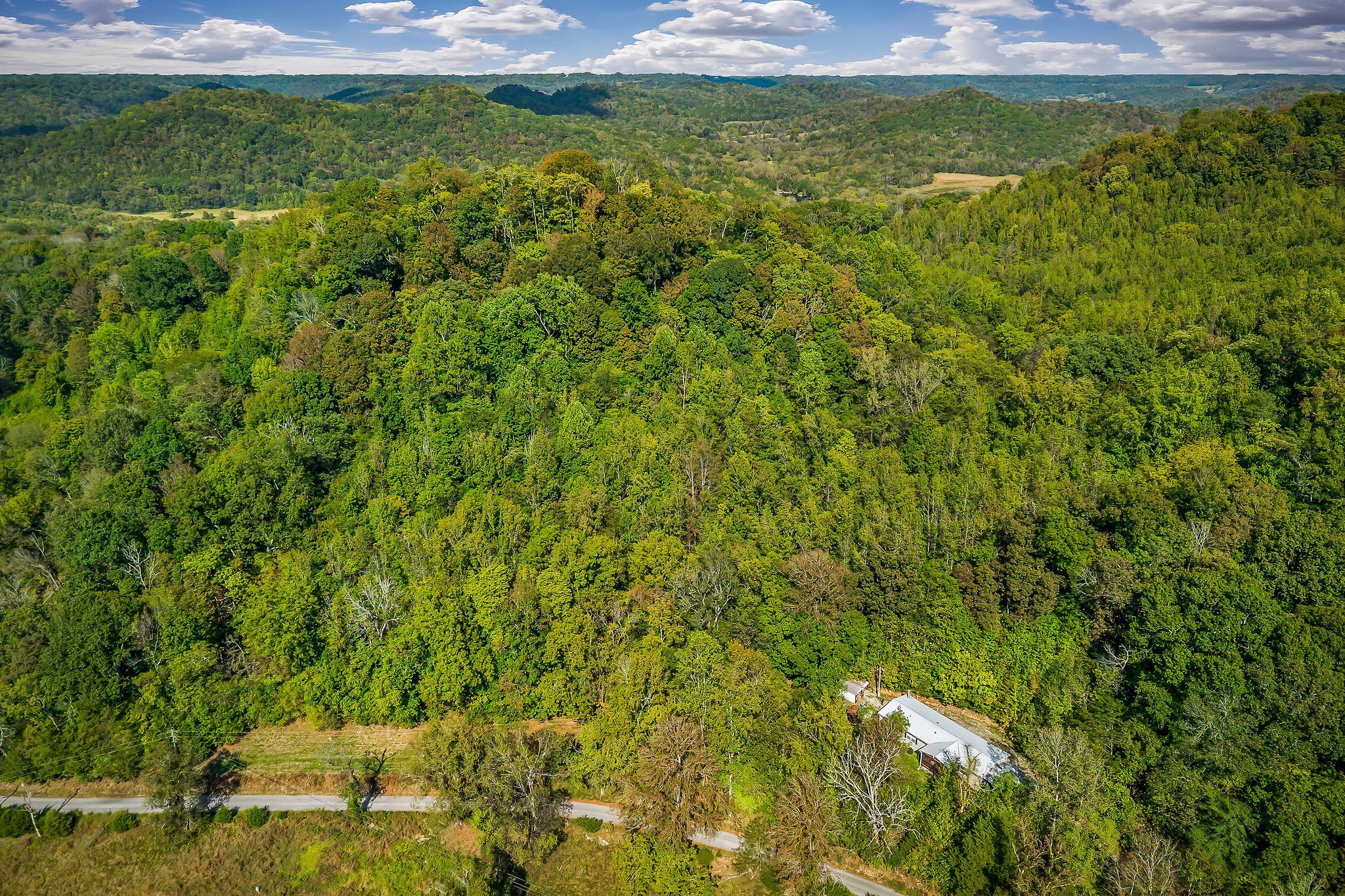 43 Moss Bend Road Lancaster, TN 38569 - Photo 14 of 75 a view of a big yard with plants and large trees