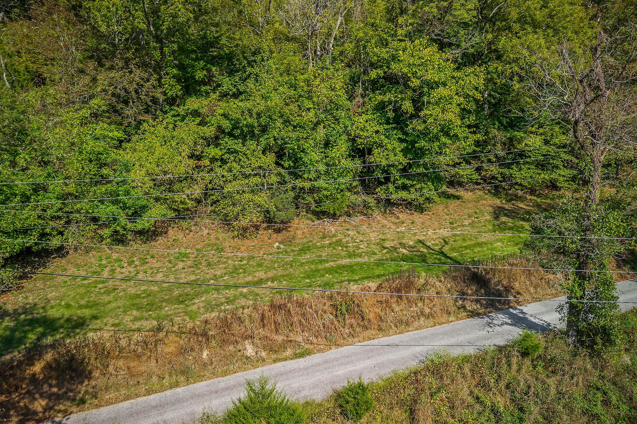 43 Moss Bend Road Lancaster, TN 38569 - Photo 20 of 75 a view of yard with green space