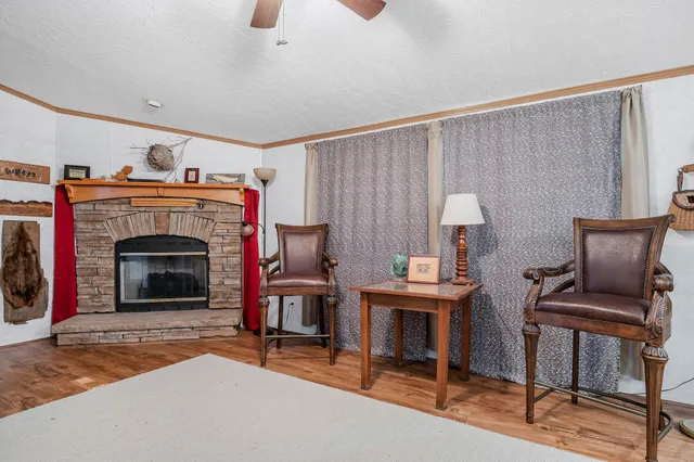 a view of a chair and tables in the backyard