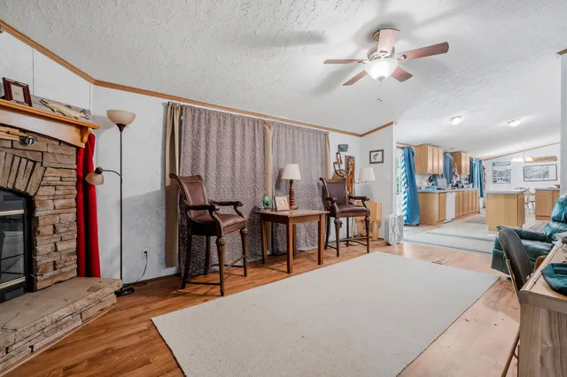a view of a yard with plants and large trees
