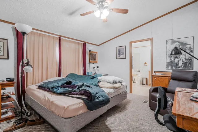 a view of a dry yard with large trees