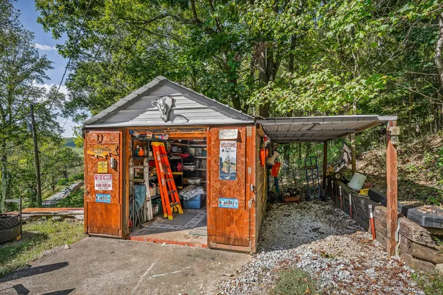 a view of a garden with plants and large trees