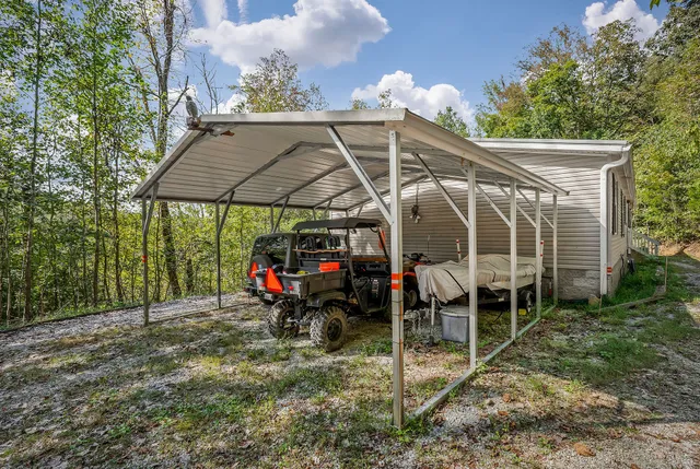 a close up of a tree