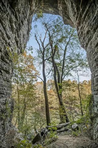 $1,600,000 | 43 Moss Bend Road, Lancaster, TN 38569