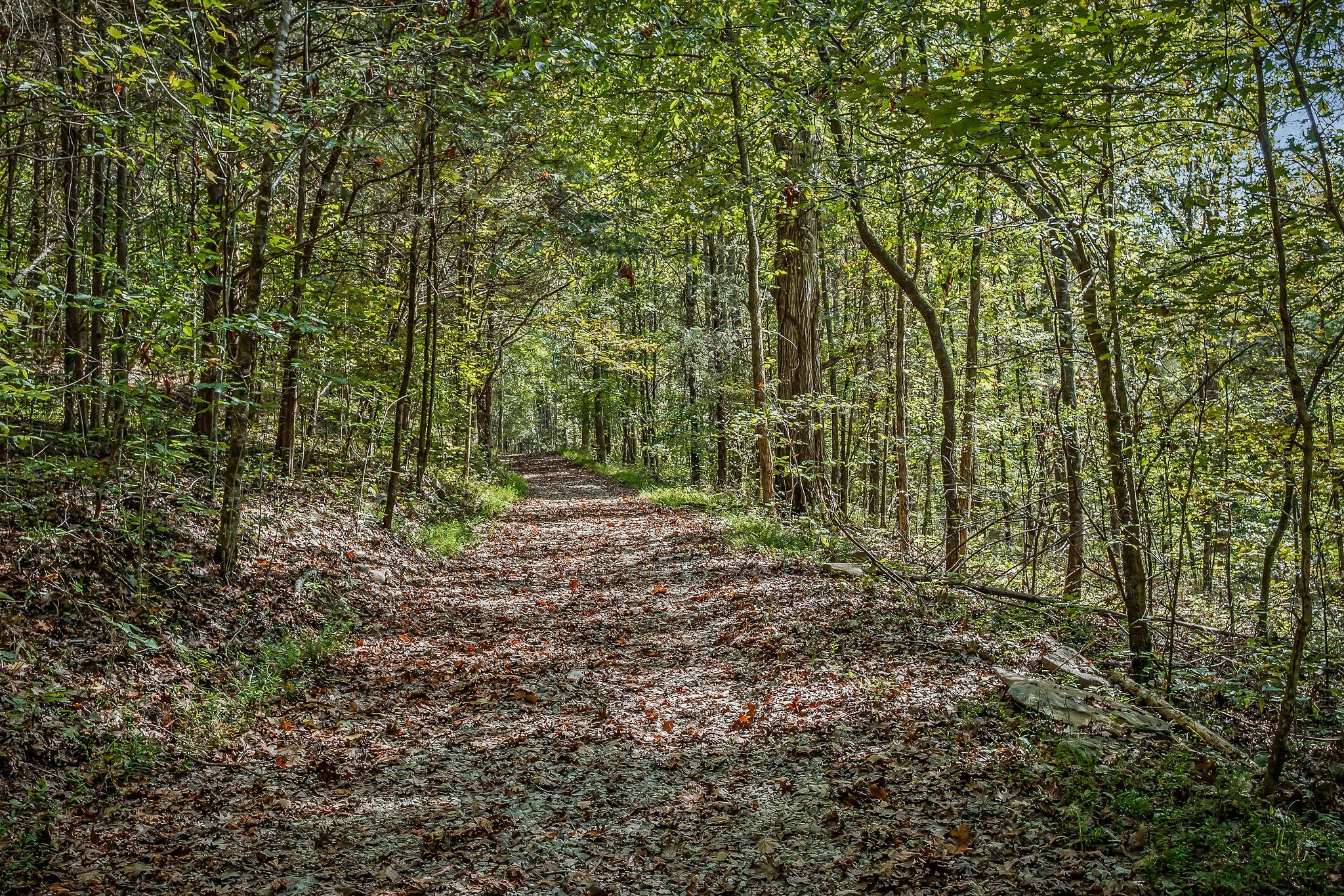 43 Moss Bend Road Lancaster, TN 38569 - Photo 60 of 75 a view of outdoor space and green space