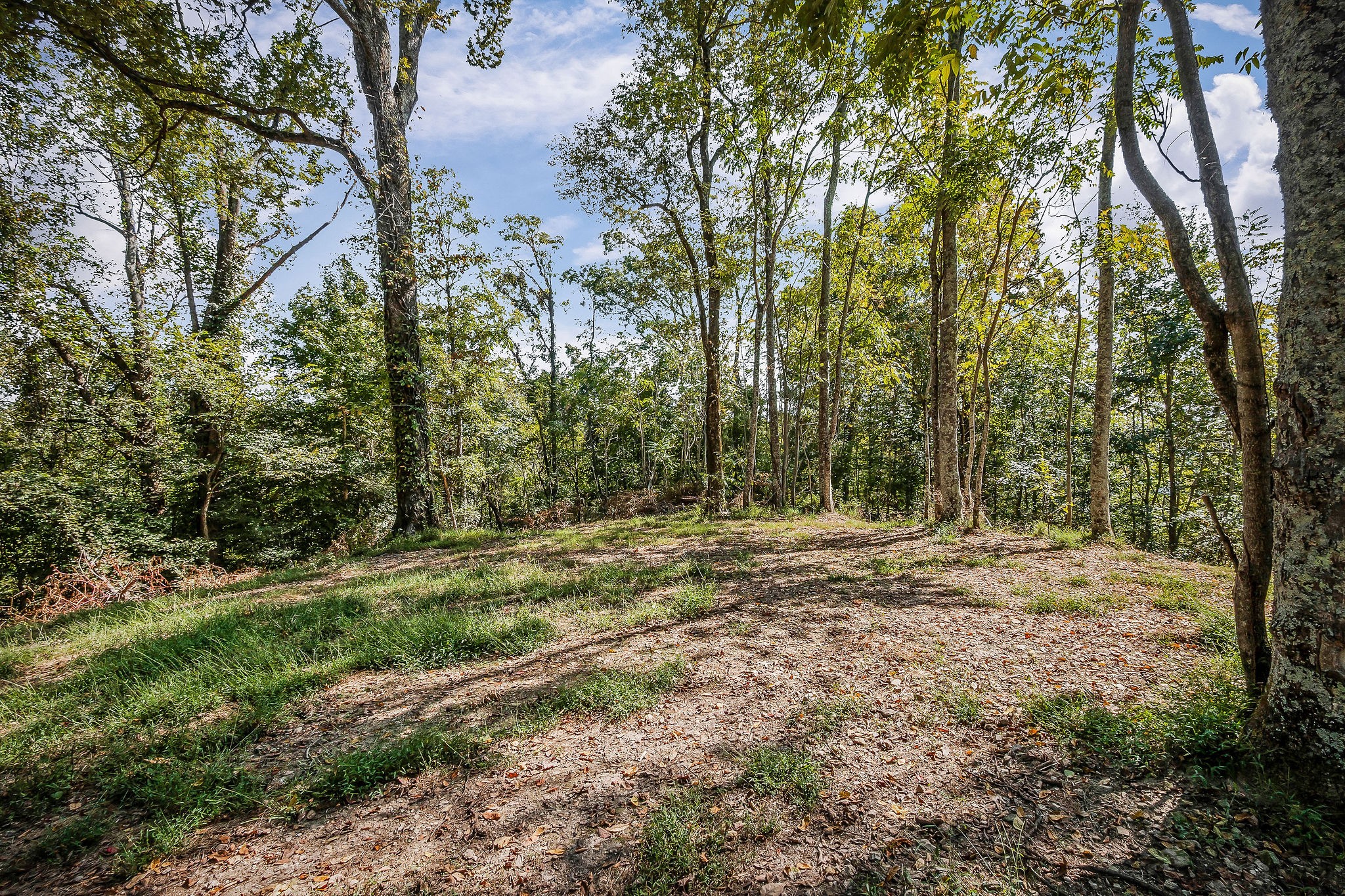 43 Moss Bend Road Lancaster, TN 38569 - Photo 62 of 75