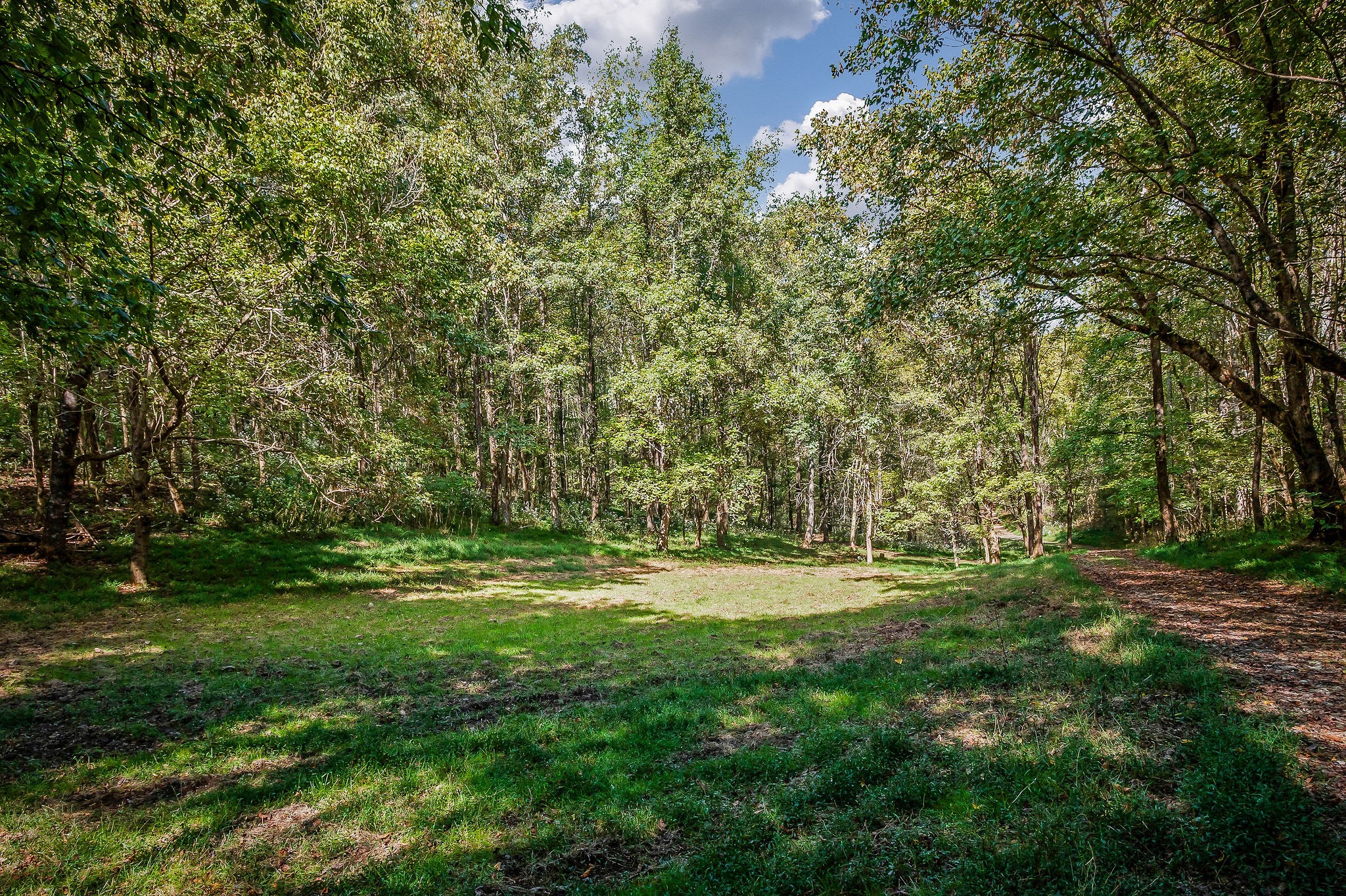 43 Moss Bend Road Lancaster, TN 38569 - Photo 64 of 75 a view of a park with a tree