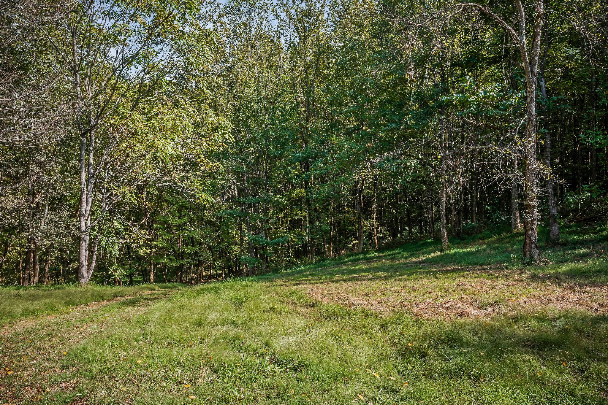 43 Moss Bend Road Lancaster, TN 38569 - Photo 66 of 75 a view of outdoor space with deck and yard