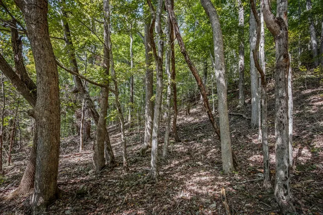 $1,600,000 | 43 Moss Bend Road, Lancaster, TN 38569