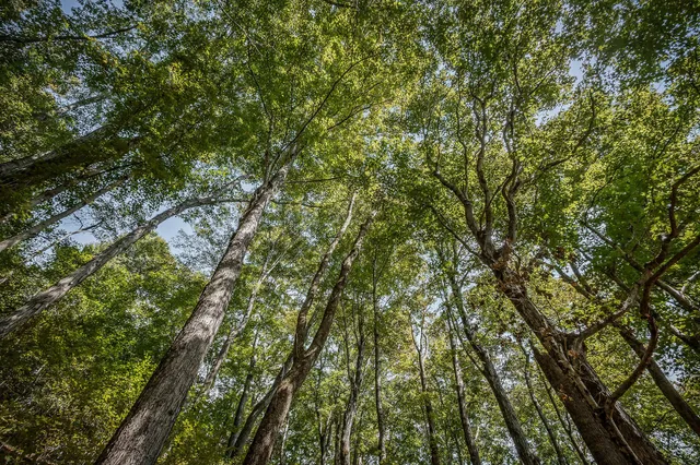 $1,600,000 | 43 Moss Bend Road, Lancaster, TN 38569