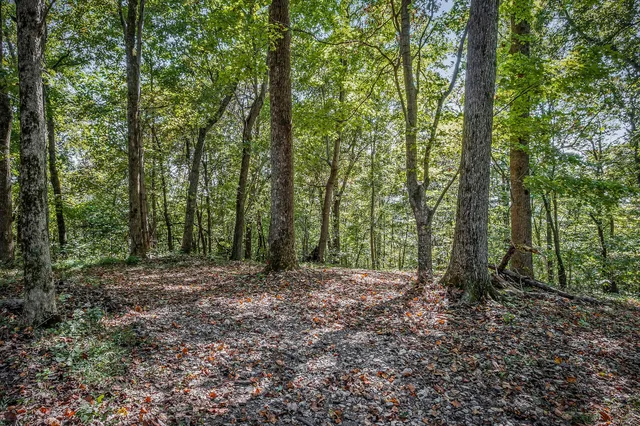 $1,600,000 | 43 Moss Bend Road, Lancaster, TN 38569