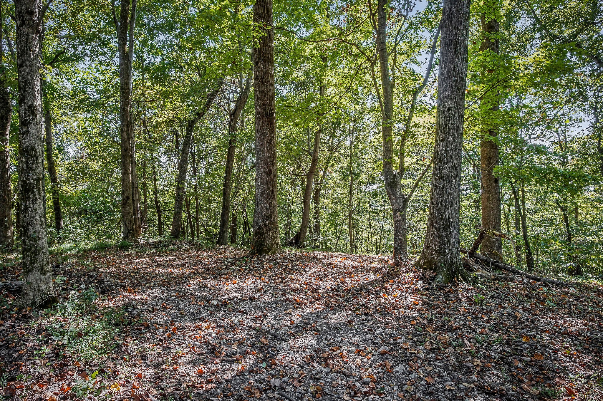 43 Moss Bend Road Lancaster, TN 38569 - Photo 70 of 75