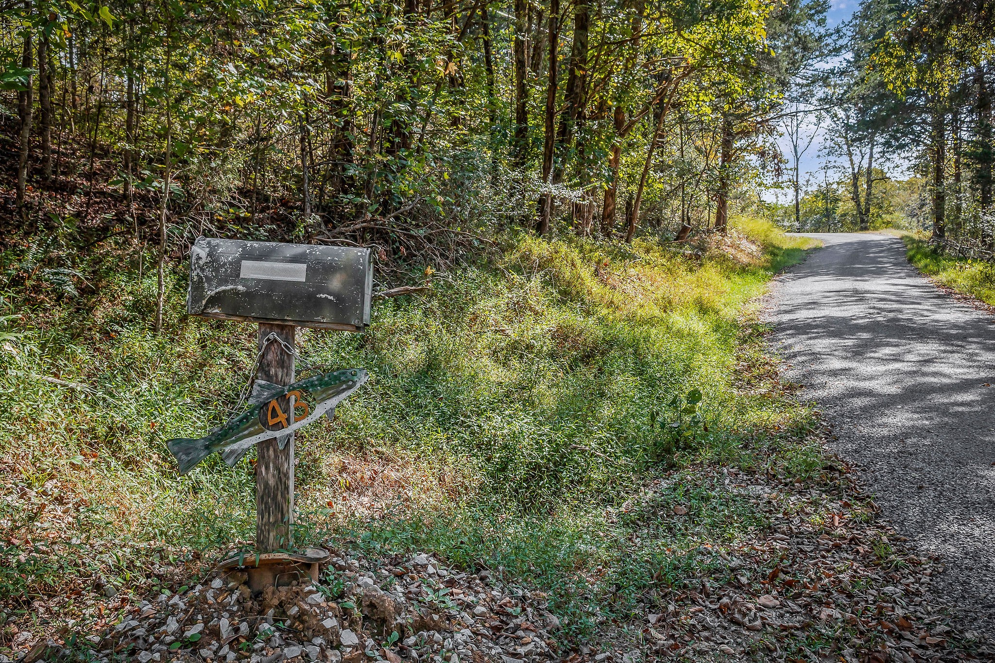 43 Moss Bend Road Lancaster, TN 38569 - Photo 73 of 75 a backyard of a house with lots of green space and a fountain