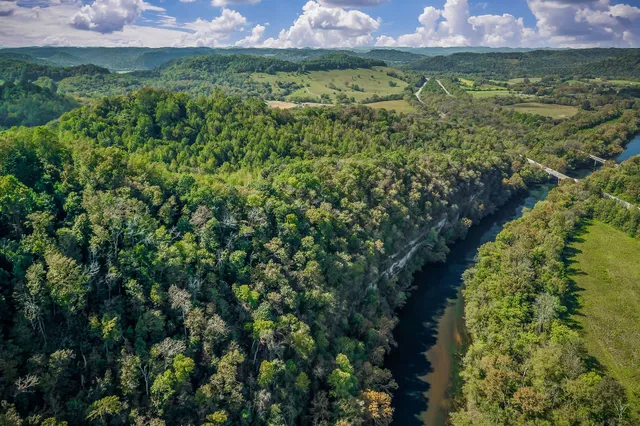 an aerial view of a house with a yard and trees all around