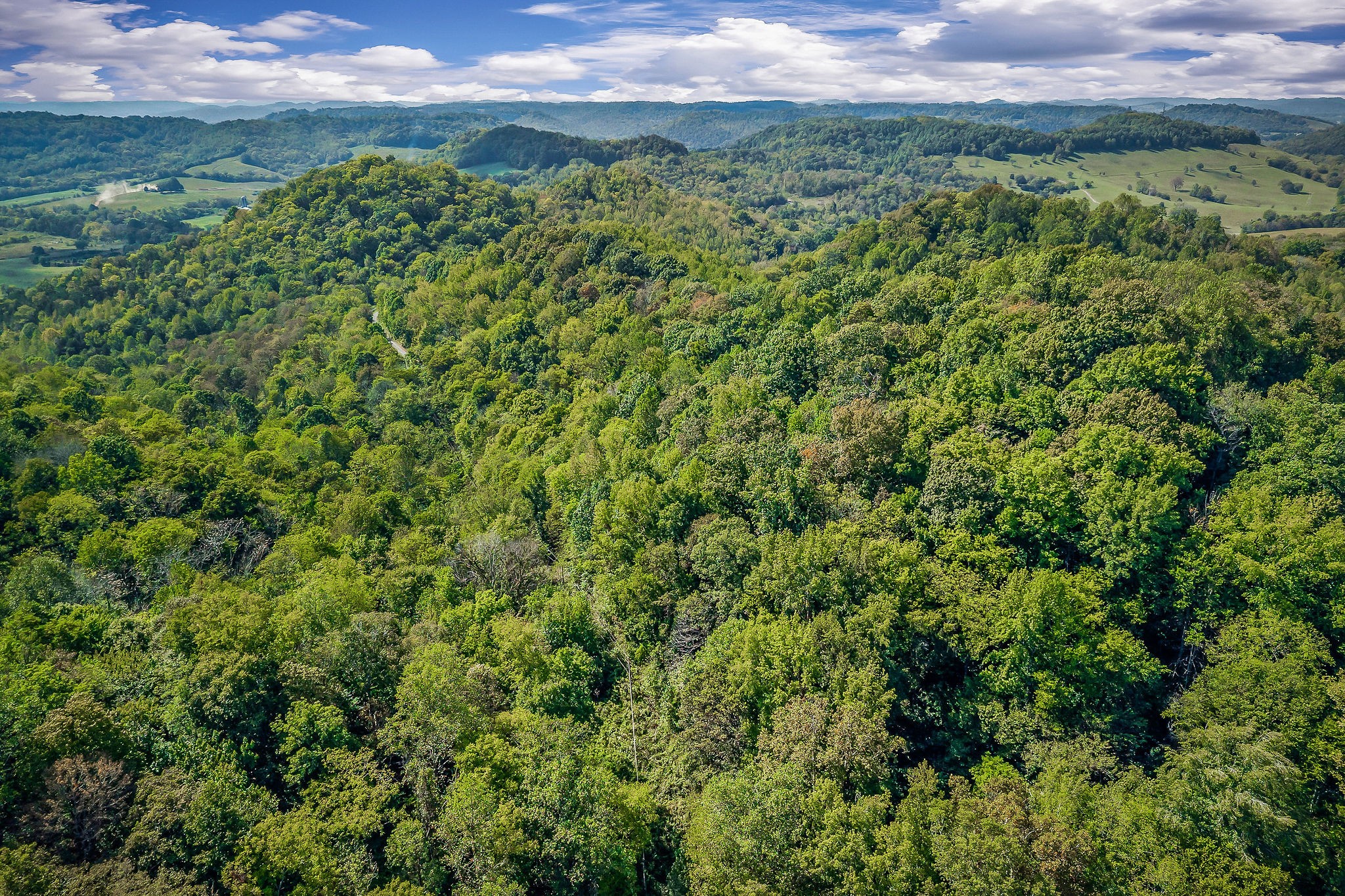 43 Moss Bend Road Lancaster, TN 38569 - Photo 10 of 75