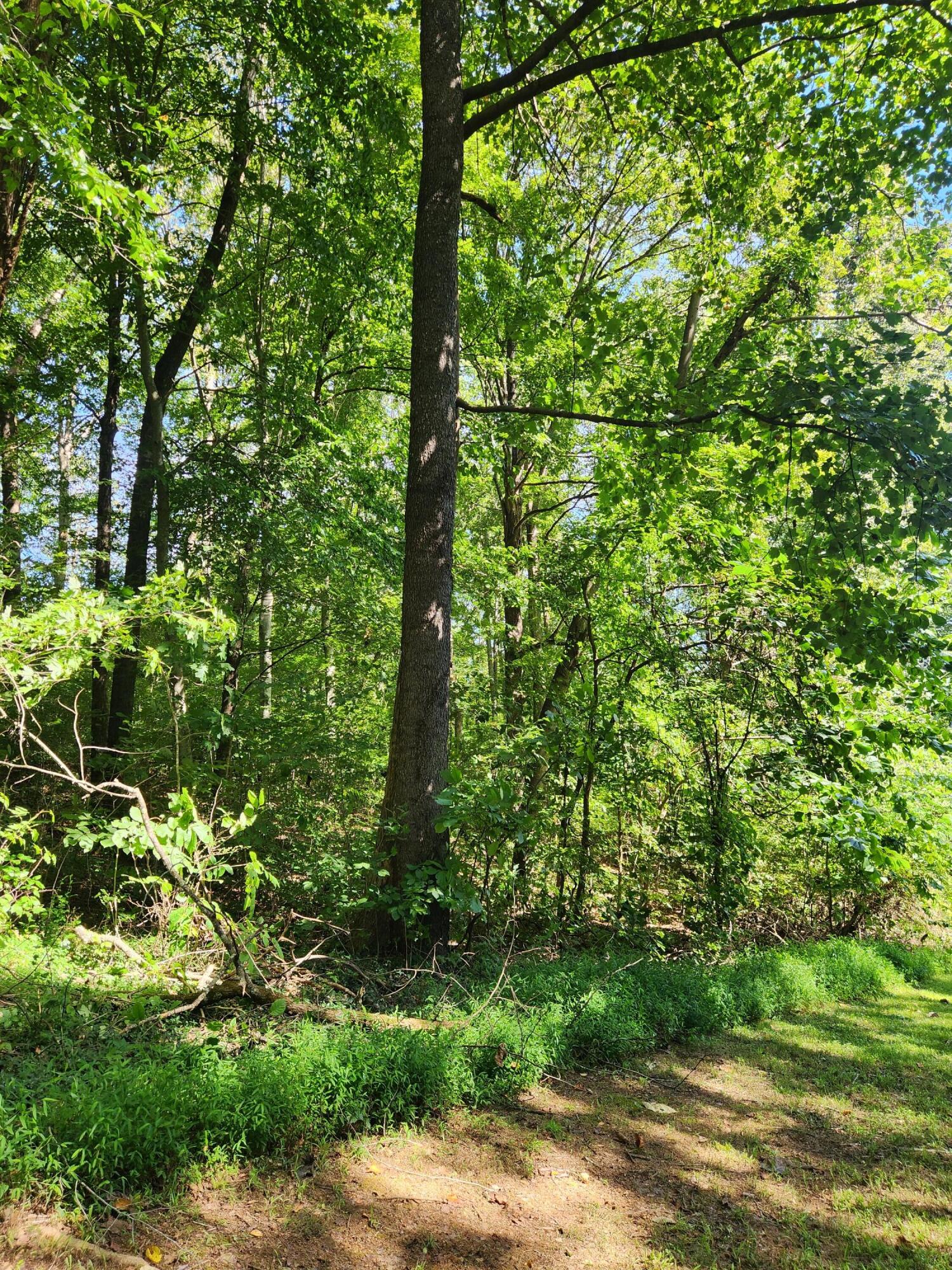 0 Old State Highway 28, Unit 28 Dunlap, TN 37327 - Photo 3 of 49 20250826_102122