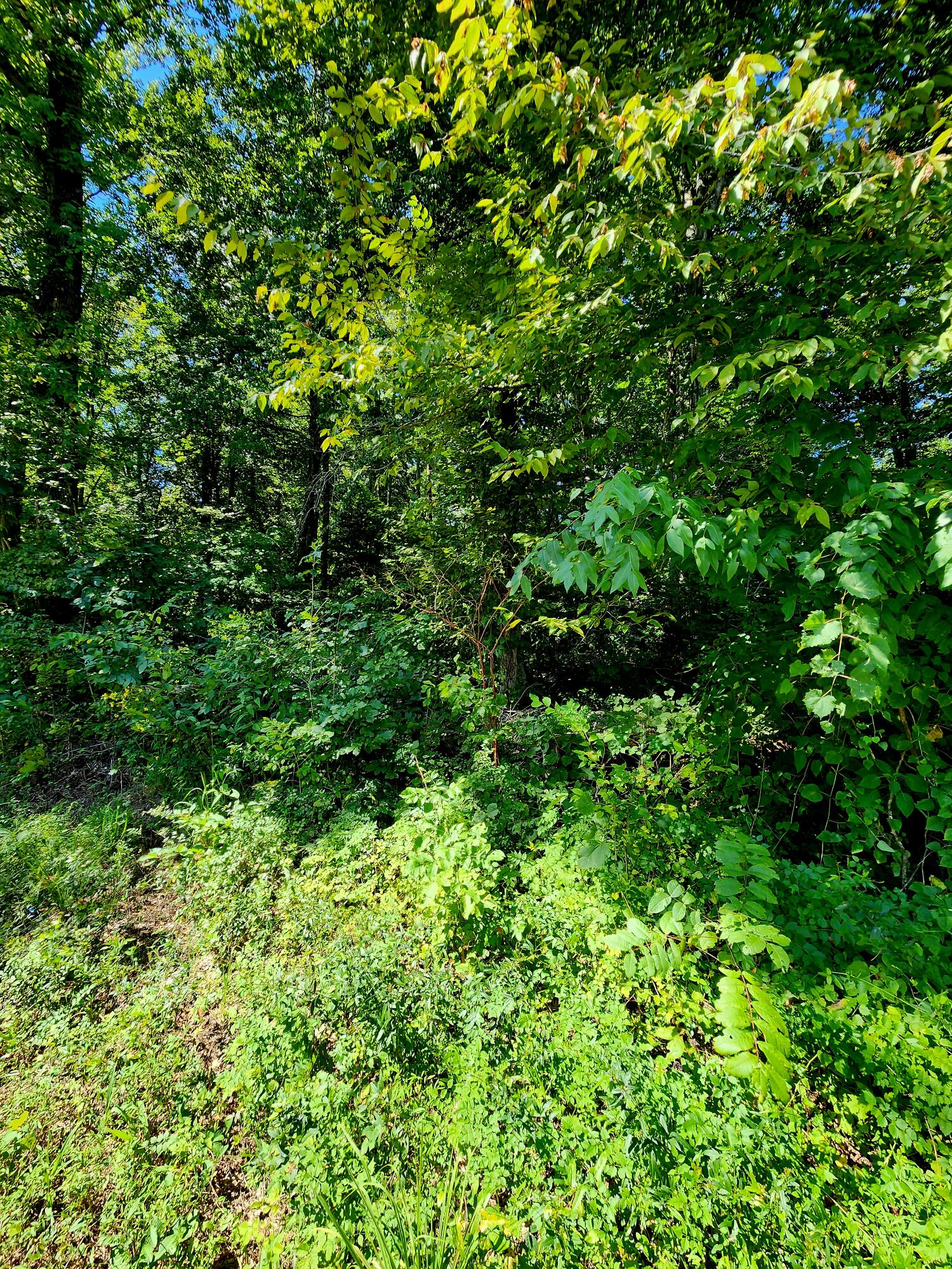 0 Old State Highway 28, Unit 28 Dunlap, TN 37327 - Photo 33 of 49 20250826_103923