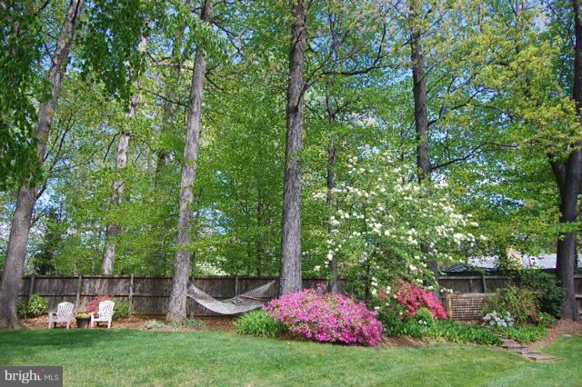6904 Nevis Road Bethesda, MD 20817 - Photo 29 of 29 Deep, private backyard