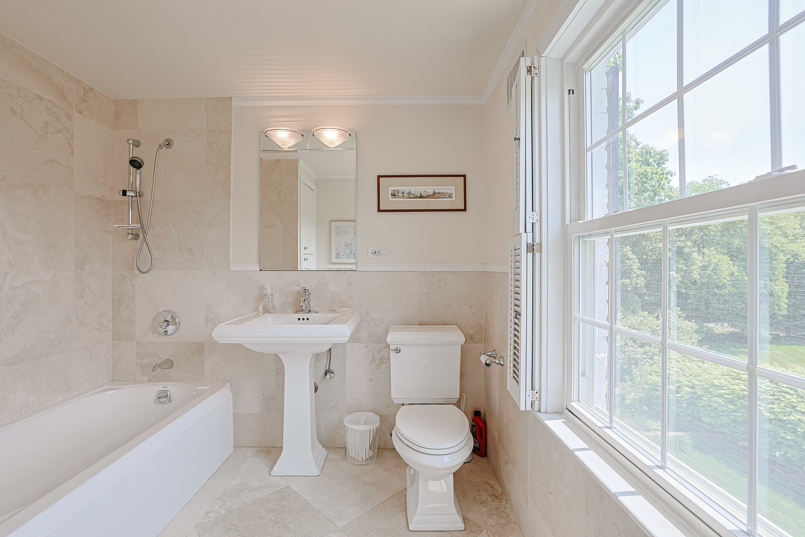 1596 West Palatine Road Inverness, IL 60067 - Photo 28 of 49 a bathroom with a toilet a sink and a bathtub