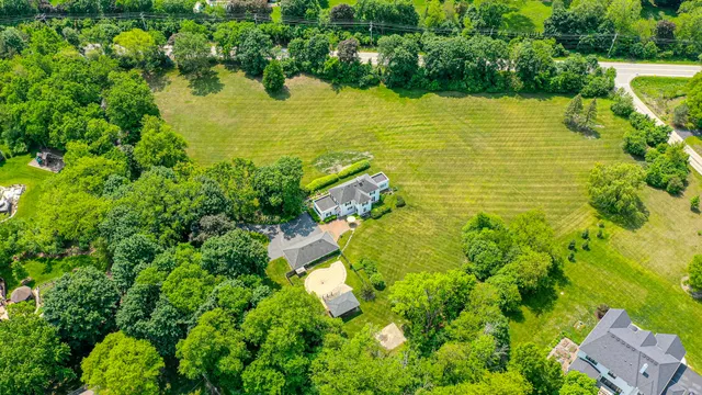 a view of a big yard with large trees