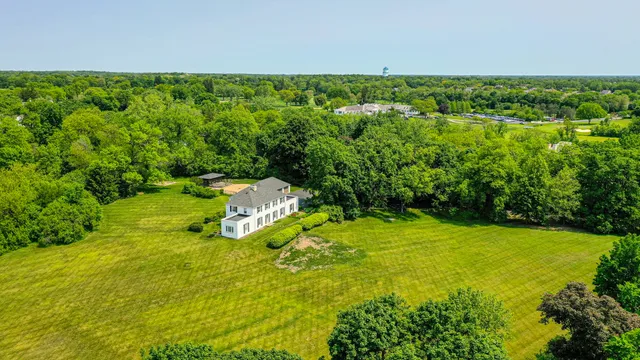 a view of a yard with a tree