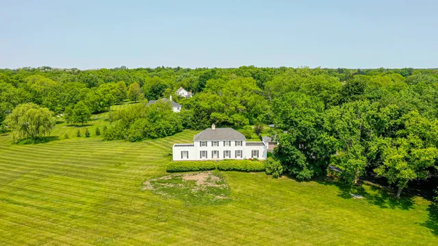 a view of a big yard with plants and large trees