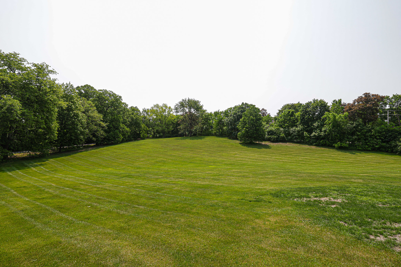 1596 West Palatine Road Inverness, IL 60067 - Photo 42 of 49 a view of a green field with trees