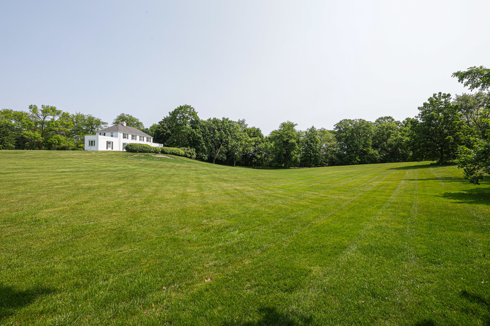 1596 West Palatine Road Inverness, IL 60067 - Photo 45 of 49 a view of a big yard with plants and large trees