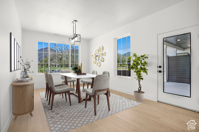 1631 West Century Lane, Unit B Mapleton, UT 84664 - Photo 2 of 33 Dining area with light wood-type flooring, plenty of natural light, and a textured ceiling (vr staging)