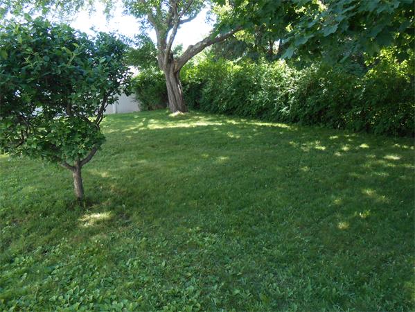 20 Crystal Street Webster, MA 01570 - Photo 19 of 22 Gallery Image 19