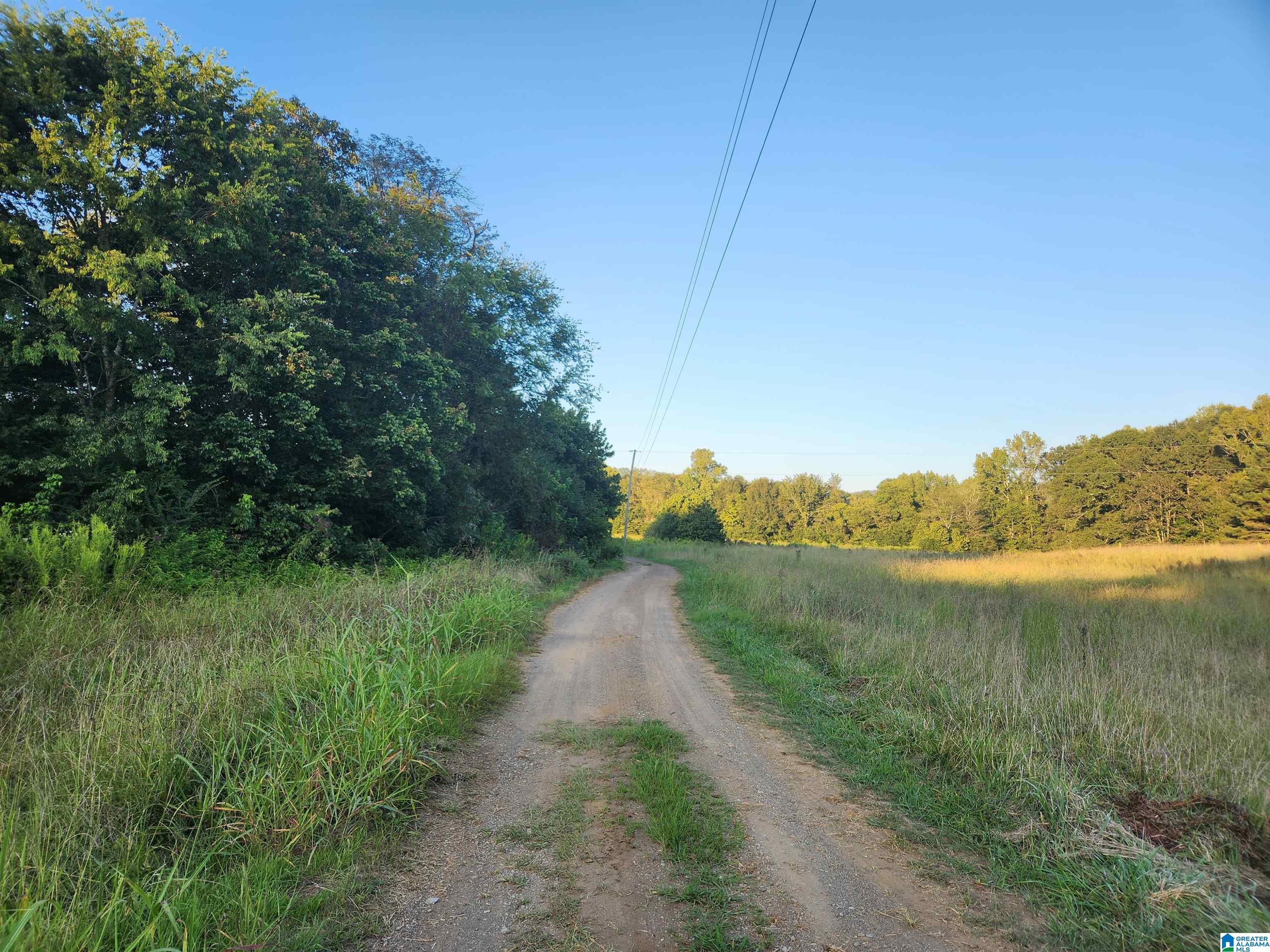 14843 Gallant Road Gallant, AL 35972 - Photo 90 of 100
