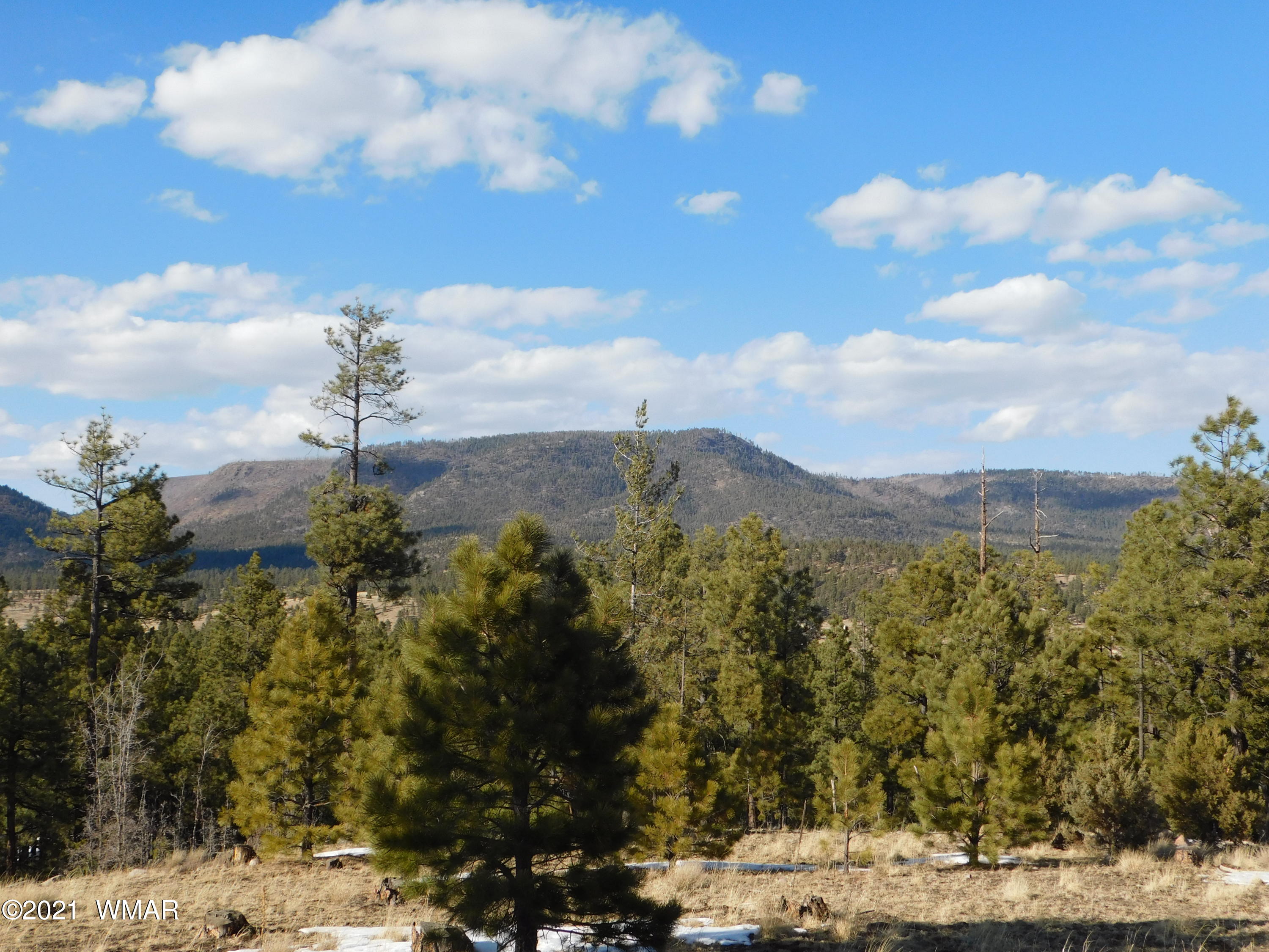 N2147 Alpine Az 85920 Alpine, AZ 85920 - Photo 2 of 12
