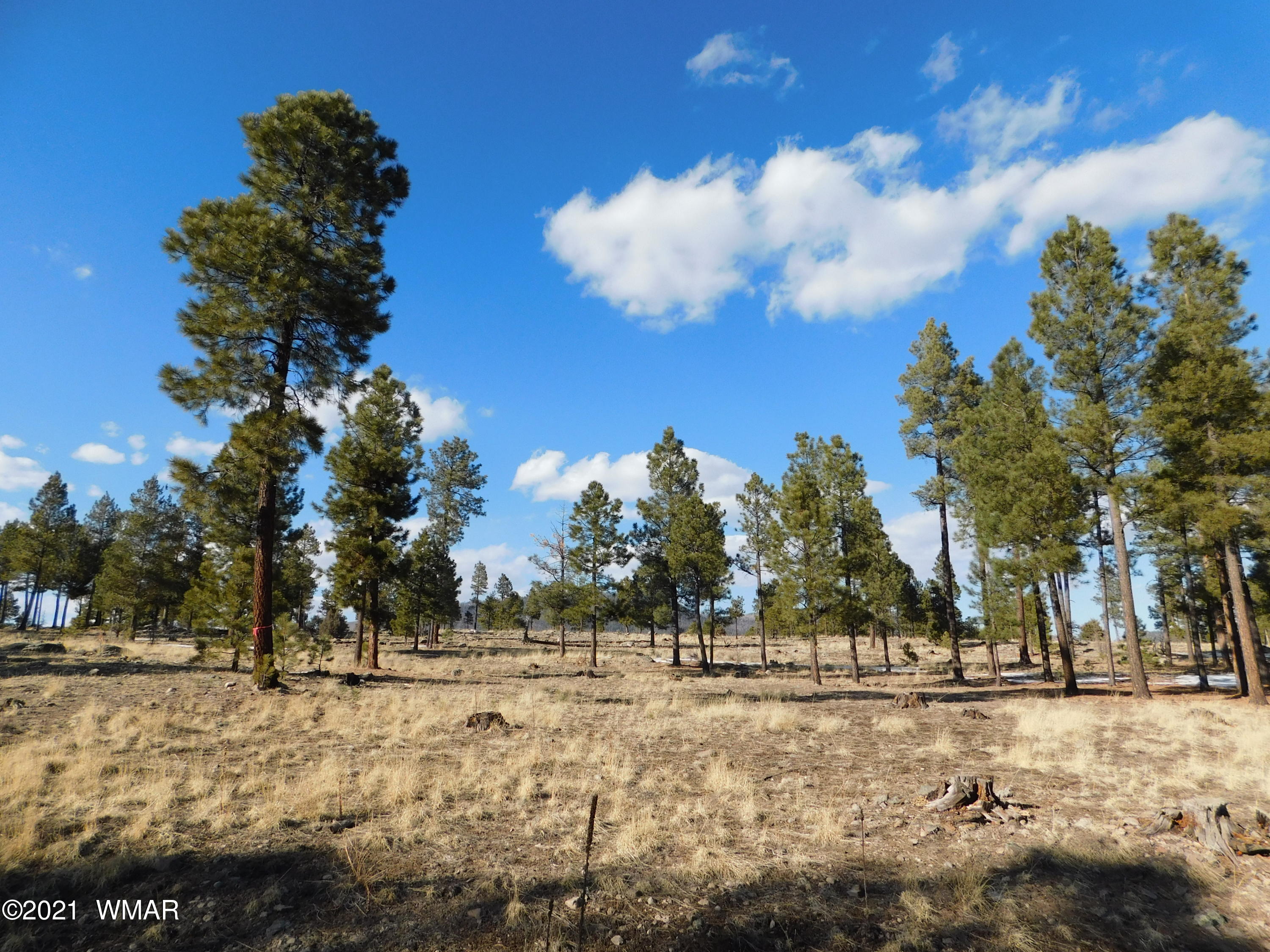 N2147 Alpine Az 85920 Alpine, AZ 85920 - Photo 5 of 12