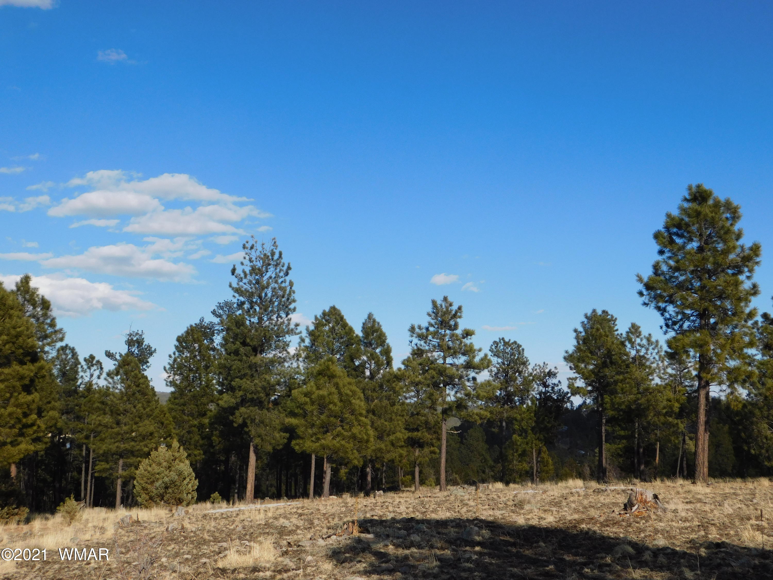 N2147 Alpine Az 85920 Alpine, AZ 85920 - Photo 6 of 12