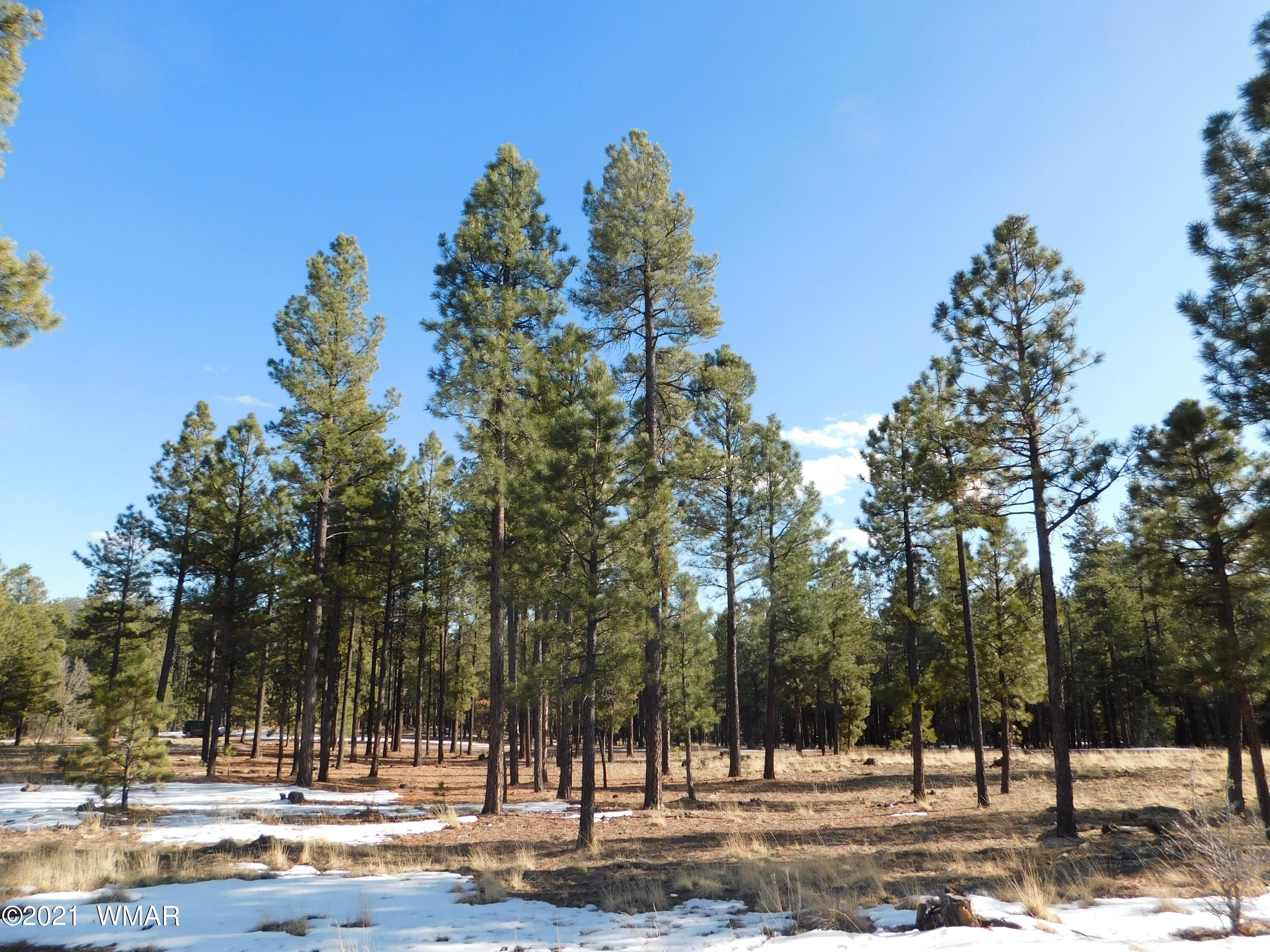 N2147 Alpine Az 85920 Alpine, AZ 85920 - Photo 9 of 12