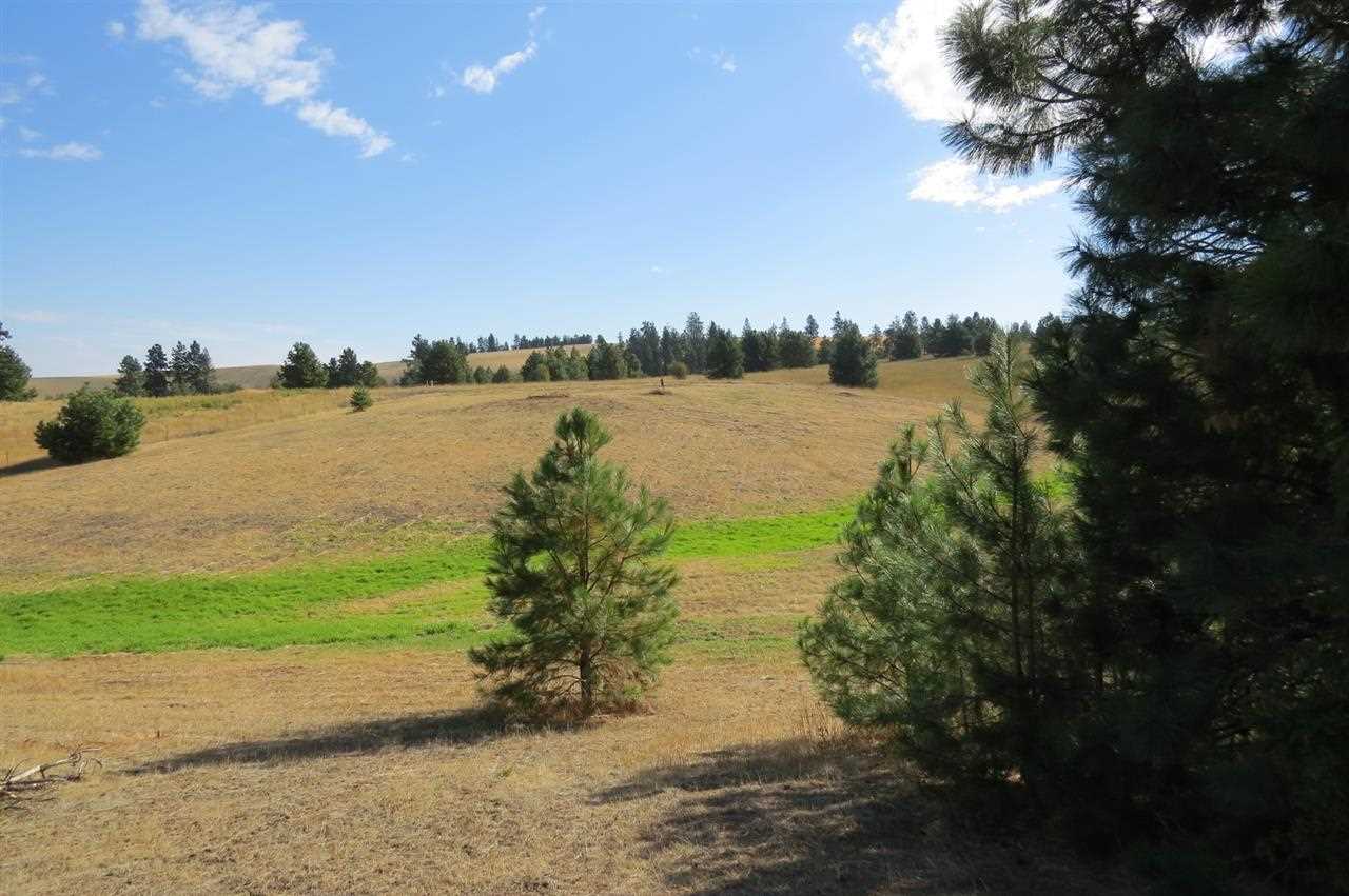12010 West Orchard Terrace Road Cheney, WA 99004 - Photo 3 of 12