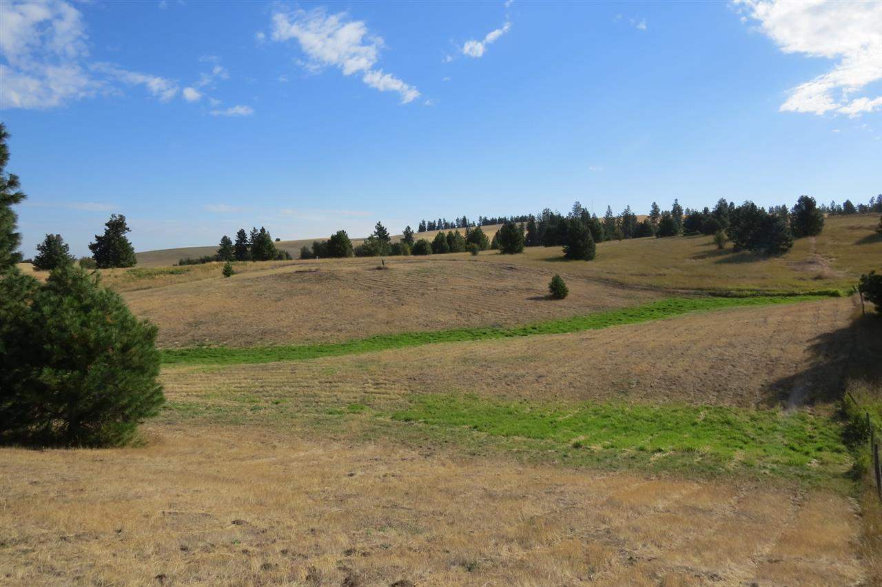 12010 West Orchard Terrace Road Cheney, WA 99004 - Photo 4 of 12