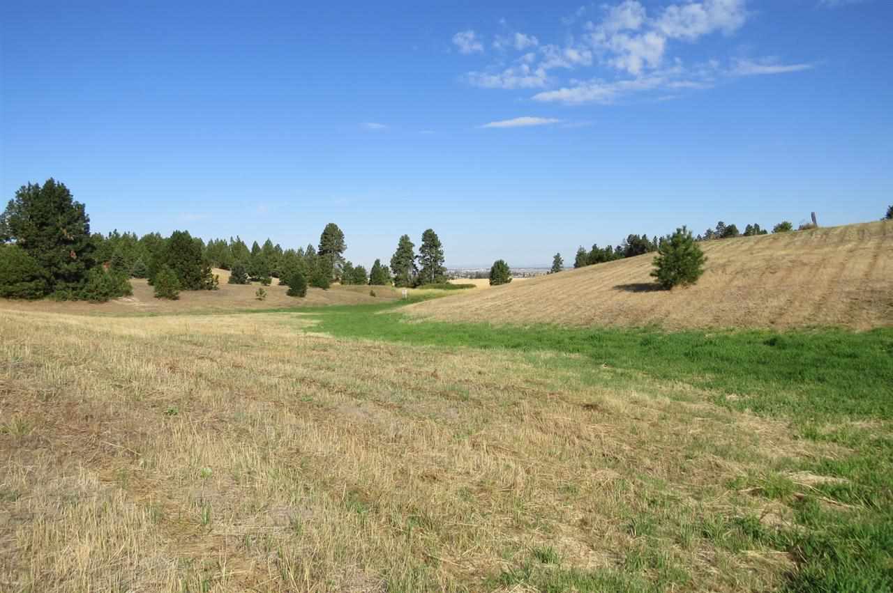 12010 West Orchard Terrace Road Cheney, WA 99004 - Photo 5 of 12