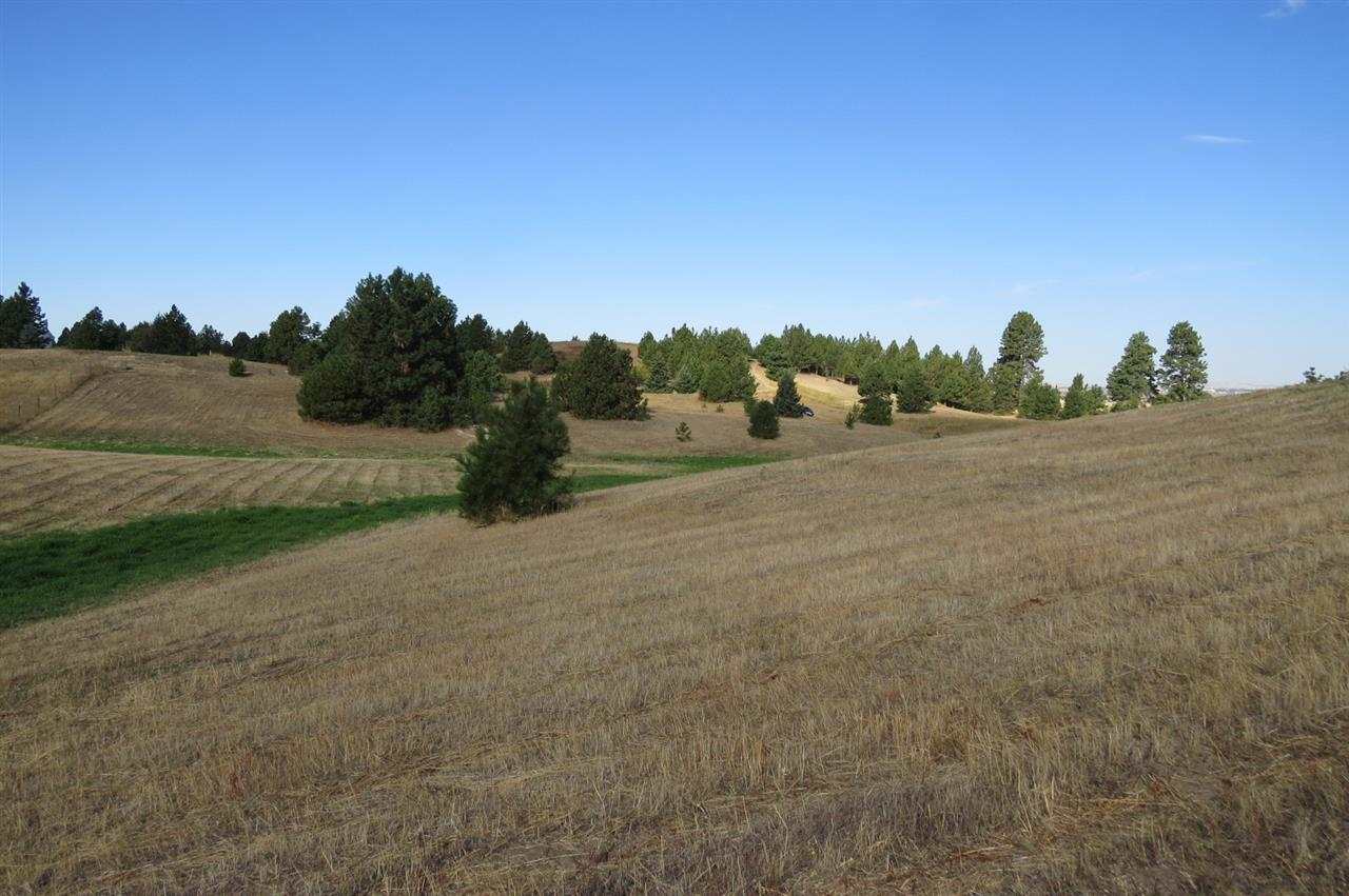 12010 West Orchard Terrace Road Cheney, WA 99004 - Photo 8 of 12